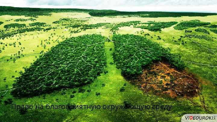 Право на благоприятную окружающую среду 