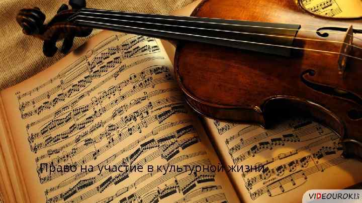 Право на участие в культурной жизни 