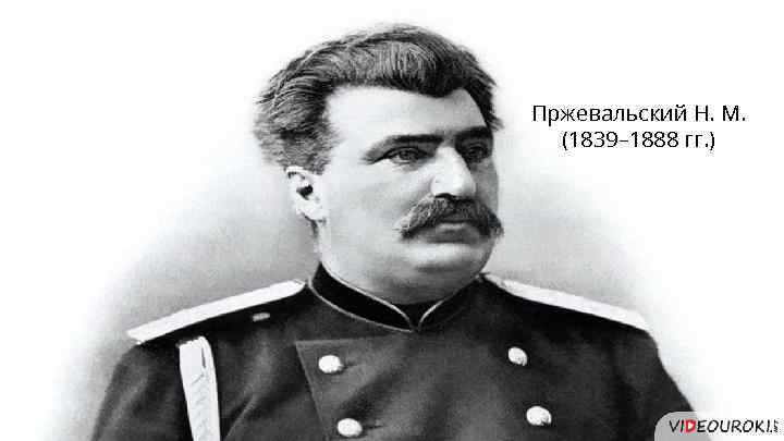 Пржевальский Н. М. (1839– 1888 гг. ) 