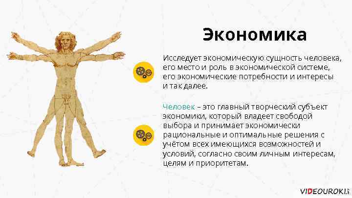 Экономика Исследует экономическую сущность человека, его место и роль в экономической системе, его экономические