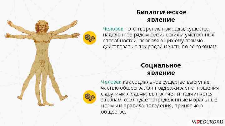 Биологическое явление Человек – это творение природы, существо, наделённое рядом физических и умственных способностей,