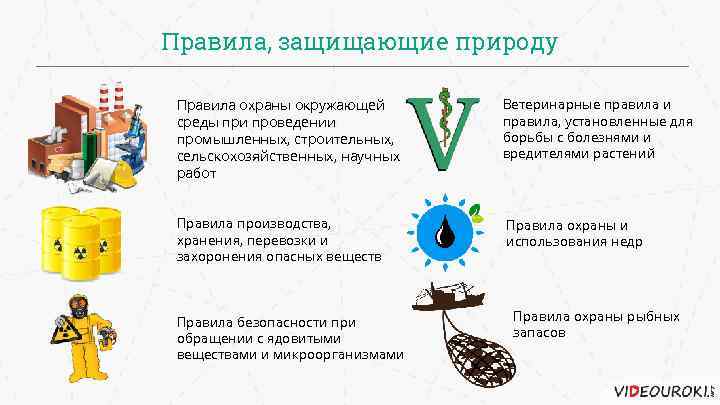 Правила, защищающие природу Правила охраны окружающей среды при проведении промышленных, строительных, сельскохозяйственных, научных работ