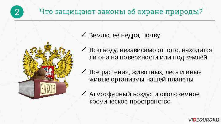 2 Что защищают законы об охране природы? ü Землю, её недра, почву ü Всю