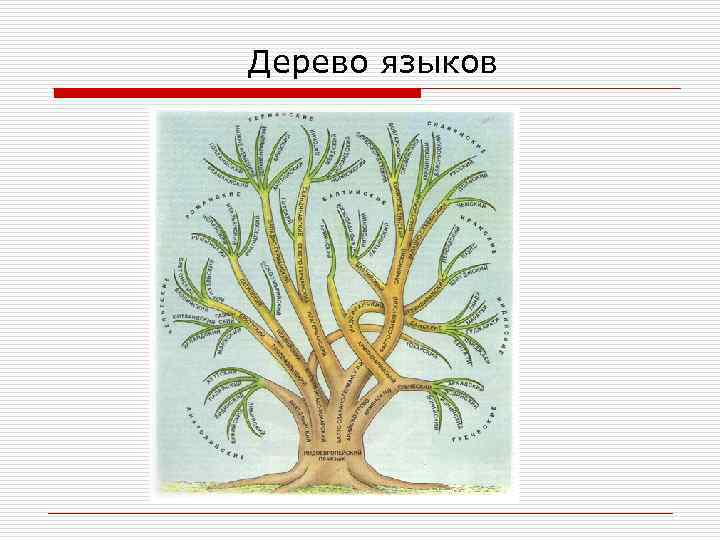  Дерево языков 