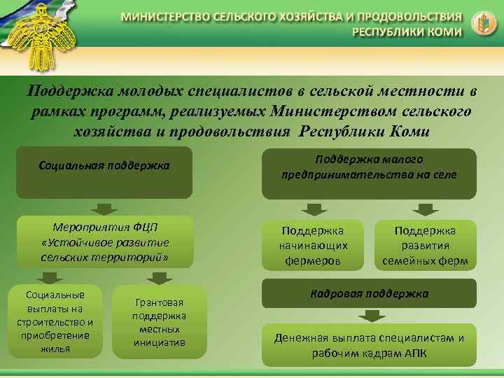 Поддержка молодых специалистов в сельской местности в рамках программ, реализуемых Министерством сельского хозяйства и