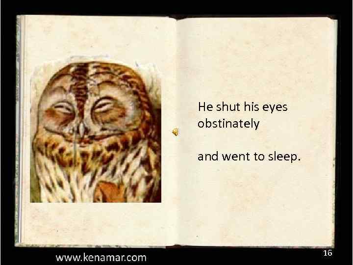 He shut his eyes obstinately and went to sleep. 16 