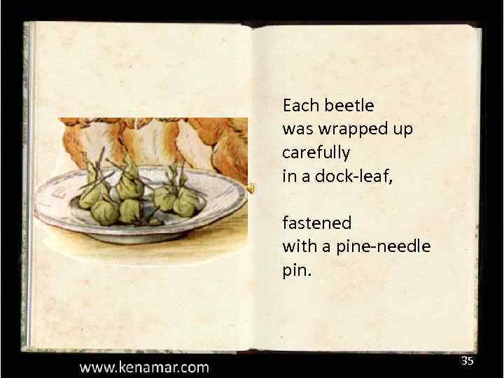 Each beetle was wrapped up carefully in a dock-leaf, fastened with a pine-needle pin.