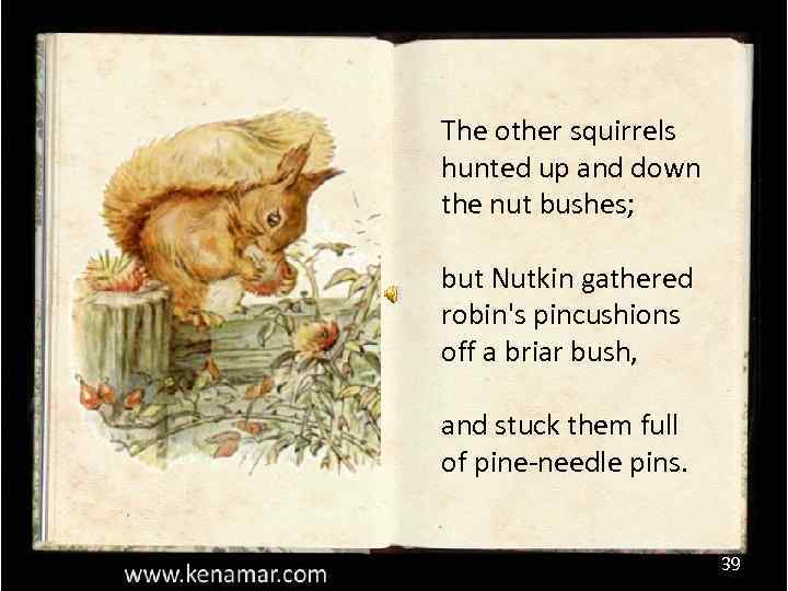 The other squirrels hunted up and down the nut bushes; but Nutkin gathered robin's