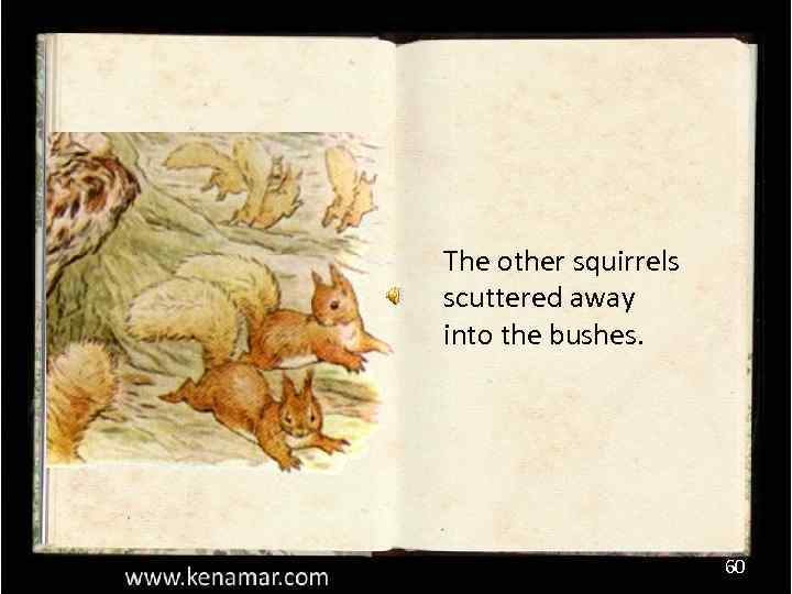 The other squirrels scuttered away into the bushes. 60 