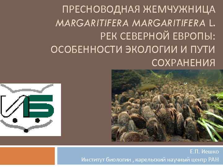 ПРЕСНОВОДНАЯ ЖЕМЧУЖНИЦА MARGARITIFERA L. РЕК СЕВЕРНОЙ ЕВРОПЫ: ОСОБЕННОСТИ ЭКОЛОГИИ И ПУТИ СОХРАНЕНИЯ Е. П.