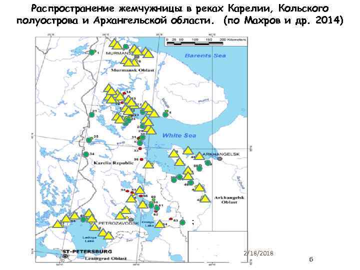 Распространение жемчужницы в реках Карелии, Кольского полуострова и Архангельской области. (по Махров и др.