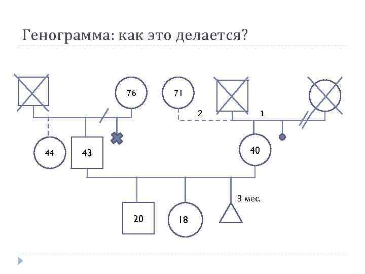 Как сделать генограмму семьи в ворде