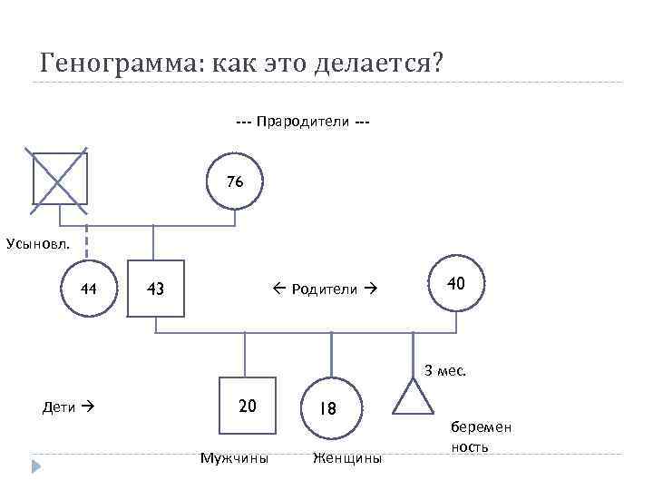 Генограмма: как это делается? --- Прародители --- 76 Усыновл. 44 43 Родители 40 3