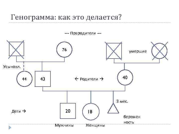 Генограмма: как это делается? --- Прародители --- 76 умершие Усыновл. 44 43 Родители 40