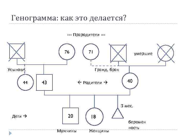 Генограмма: как это делается? --- Прародители --- 76 Усыновл. 44 71 умершие Гражд. брак