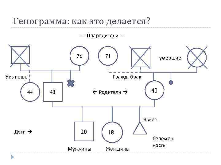 Генограмма: как это делается? --- Прародители --- 76 Усыновл. 71 умершие Гражд. брак 44
