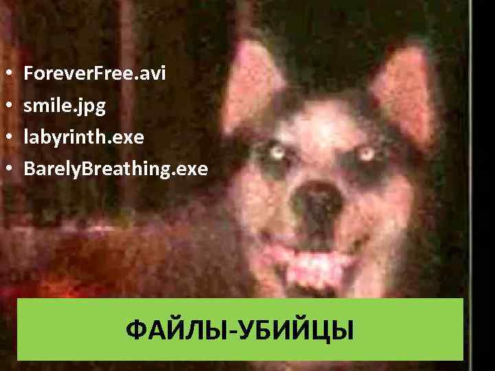  • • Forever. Free. avi smile. jpg labyrinth. exe Barely. Breathing. exe ФАЙЛЫ-УБИЙЦЫ