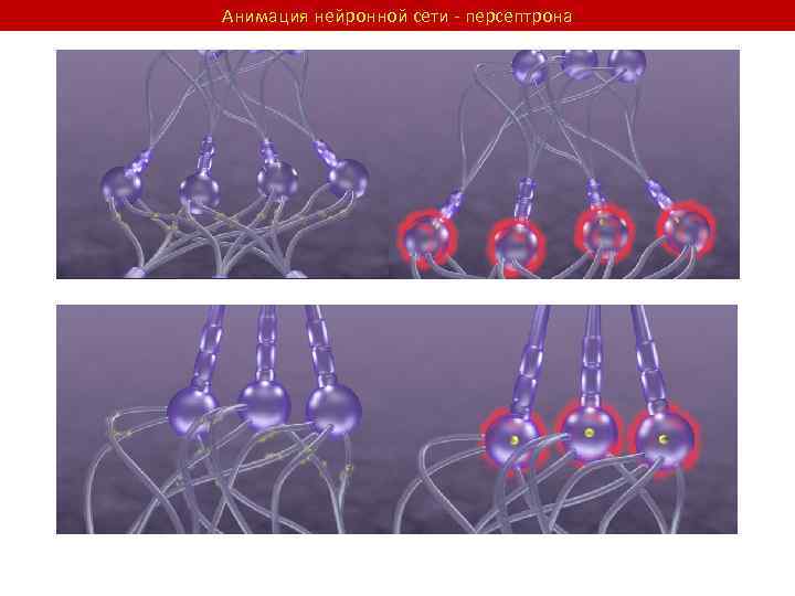 Анимация нейронной сети - персептрона 