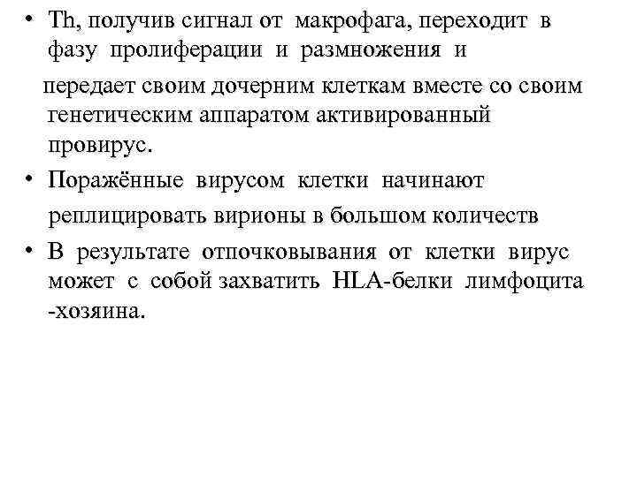  • Тh, получив сигнал от макрофага, переходит в фазу пролиферации и размножения и