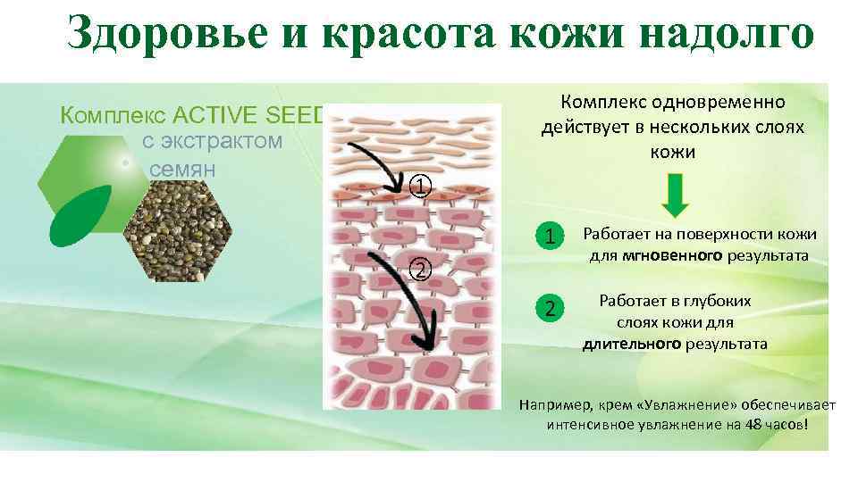 Здоровье и красота кожи надолго Комплекс ACTIVE SEED с экстрактом семян Комплекс одновременно действует
