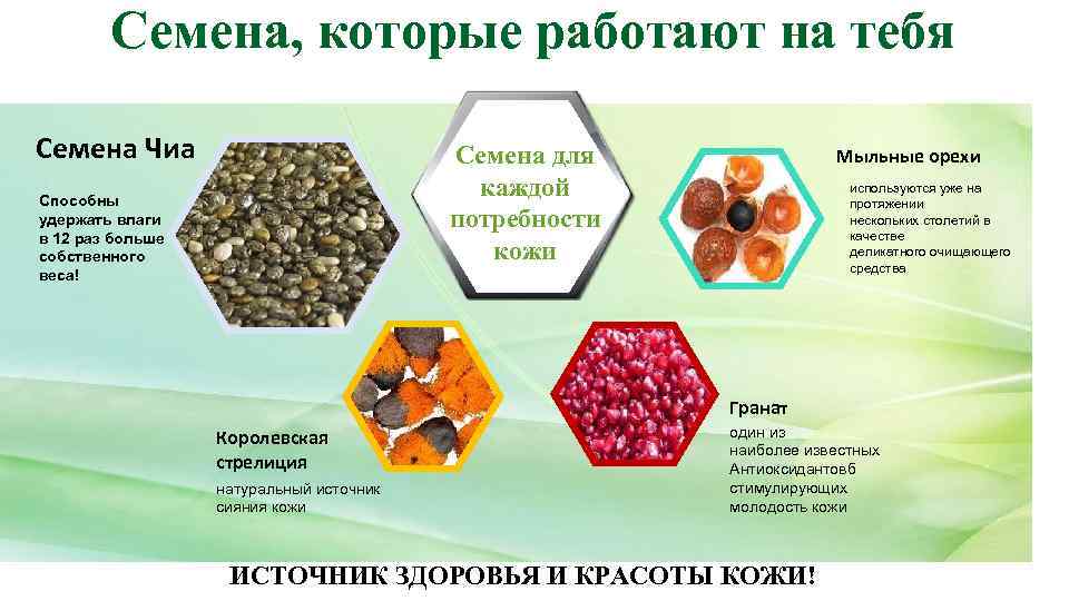 Семена, которые работают на тебя HYDRATION BALANCE Семена Чиа Семена для каждой потребности кожи