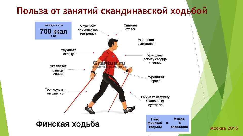 Польза от занятий скандинавской ходьбой Москва 2015 