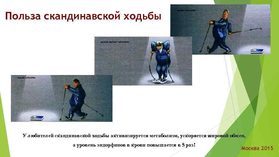 Польза скандинавской ходьбы У любителей скандинавской ходьбы активизируется метаболизм, ускоряется жировой обмен, а уровень