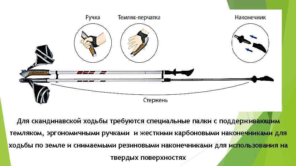 Для скандинавской ходьбы требуются специальные палки с поддерживающим темляком, эргономичными ручками и жесткими карбоновыми