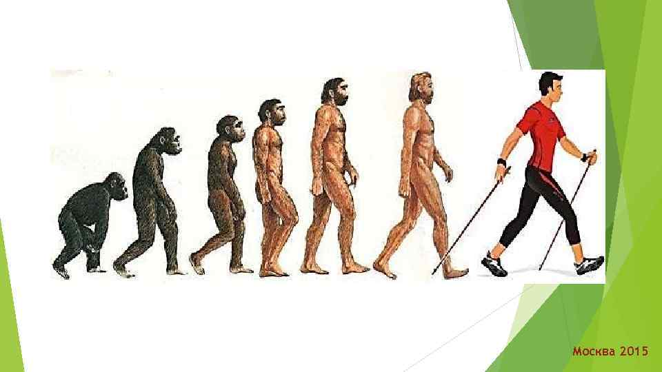 Москва 2015 