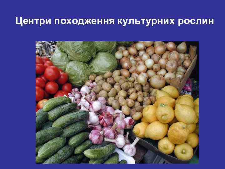 Центри походження культурних рослин 