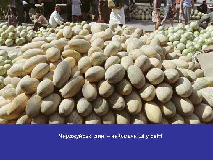 Чарджуйські дині – найсмачніші у світі 