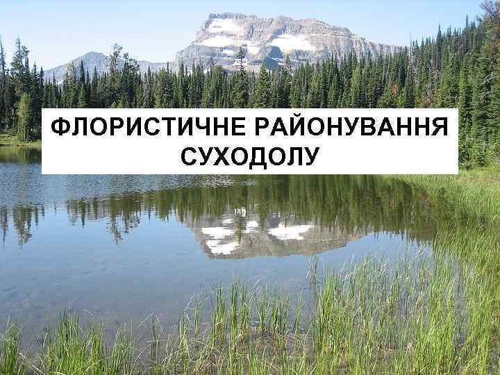 ФЛОРИСТИЧНЕ РАЙОНУВАННЯ СУХОДОЛУ 