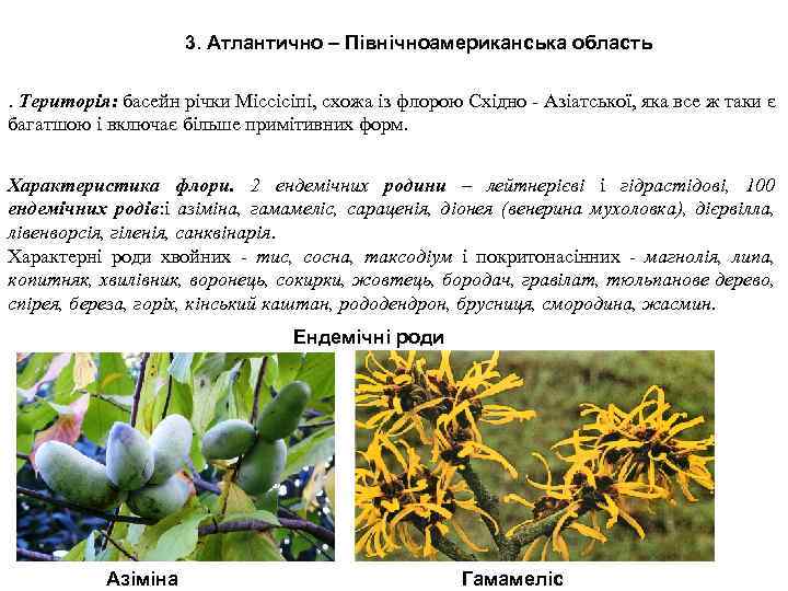 3. Атлантично – Північноамериканська область. Територія: басейн річки Міссісіпі, схожа із флорою Східно -
