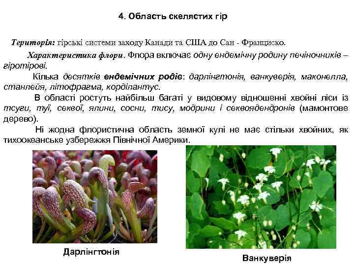 4. Область скелястих гір Територія: гірські системи заходу Канади та США до Сан -