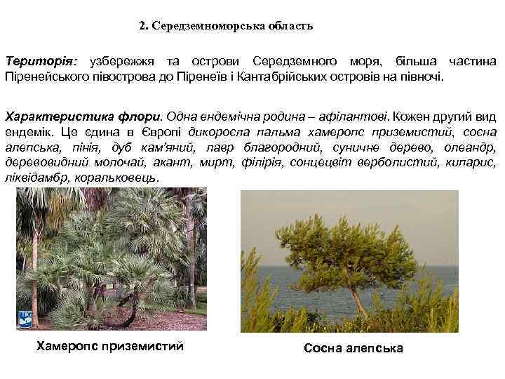 2. Середземноморська область Територія: узбережжя та острови Середземного моря, більша частина Піренейського півострова до