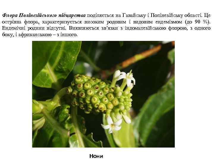 Флора Полінезійського підцарства поділяється на Гавайську і Полінезійську області. Це острівна флора, характеризується високим