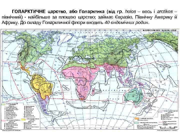 ГОЛАРКТИЧНЕ царство, або Голарктика (від гр. holos – весь і arctikos – північний) -