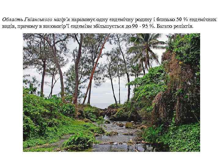 Область Гвіанського нагір’я нараховує одну ендемічну родину і близько 50 % ендемічних видів, причому