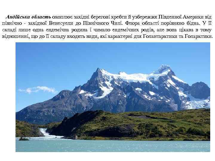 Андійська область охоплює західні берегові хребти й узбережжя Південної Америки від північно - західної