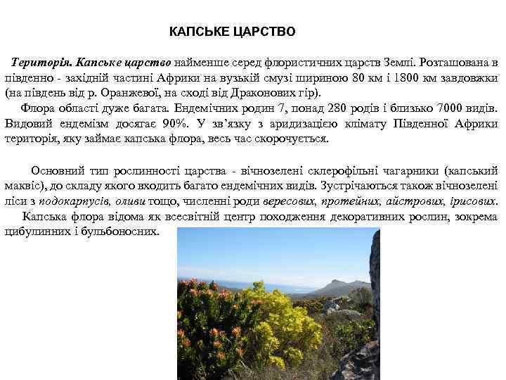 КАПСЬКЕ ЦАРСТВО Територія. Капське царство найменше серед флористичних царств Землі. Розташована в південно -