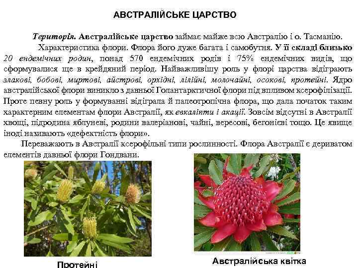 АВСТРАЛІЙСЬКЕ ЦАРСТВО Територія. Австралійське царство займає майже всю Австралію і о. Тасманію. Характеристика флори.