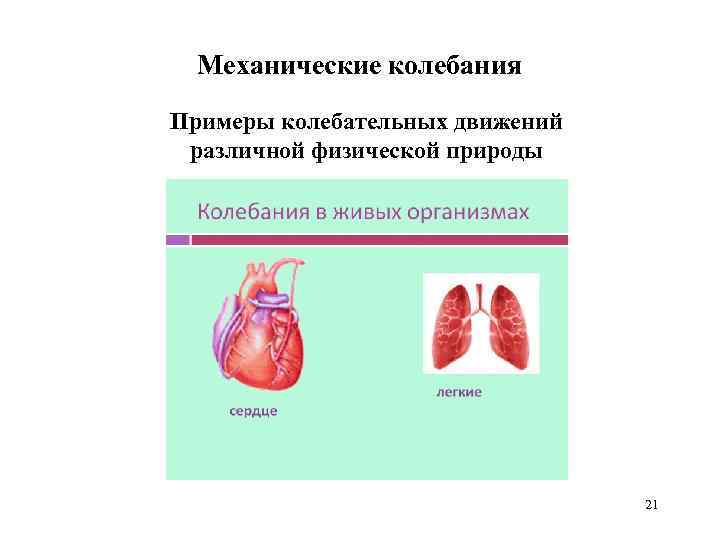 Механические колебания Примеры колебательных движений различной физической природы 21 