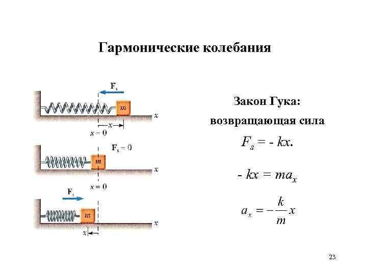 Гармонические колебания Закон Гука: возвращающая сила Fs = - kx = max 23 