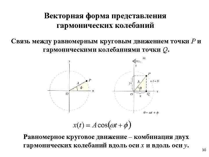 Векторная форма представления гармонических колебаний Связь между равномерным круговым движением точки Р и гармоническими