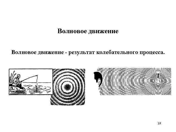 Волновое движение - результат колебательного процесса. 39 