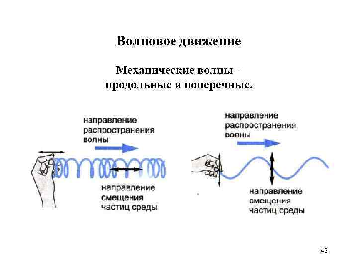 Волновое движение Механические волны – продольные и поперечные. 42 