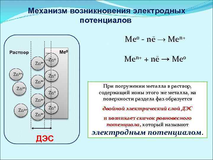 Электрохимический и электродный потенциал