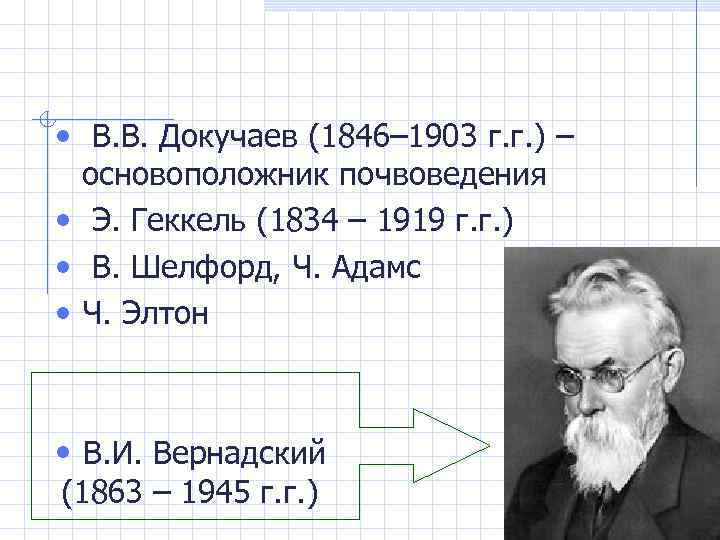  • В. В. Докучаев (1846– 1903 г. г. ) – основоположник почвоведения •