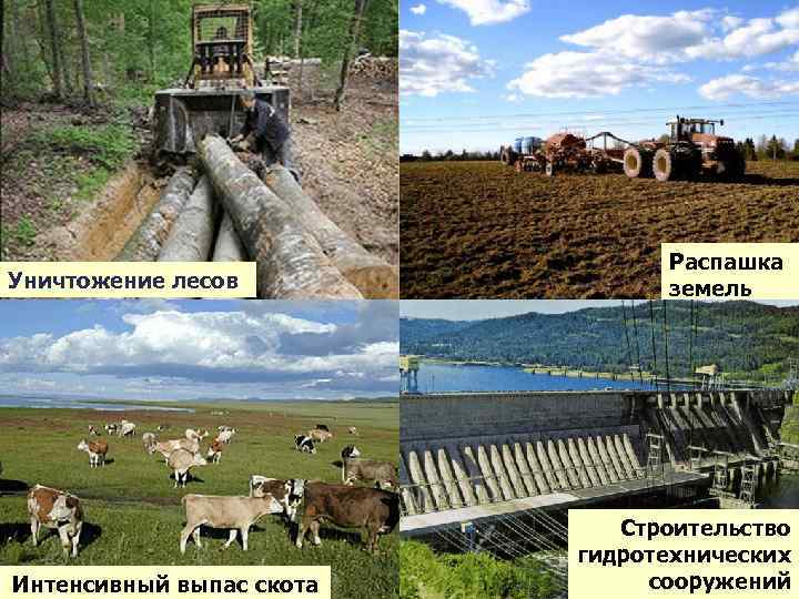 Уничтожение лесов Интенсивный выпас скота Распашка земель Строительство гидротехнических сооружений 