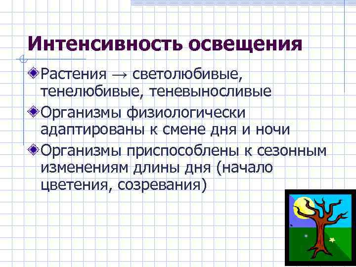 Интенсивность освещения Растения → светолюбивые, тенелюбивые, теневыносливые Организмы физиологически адаптированы к смене дня и